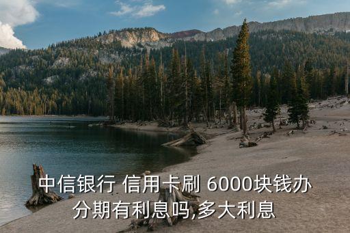 中信银行 信用卡刷 6000块钱办分期有利息吗,多大利息