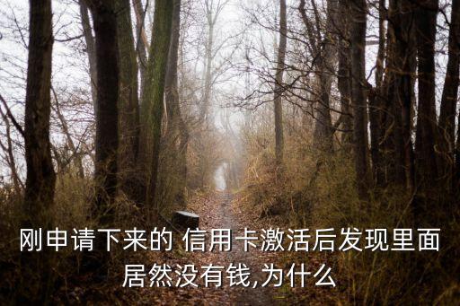 刚申请下来的 信用卡激活后发现里面居然没有钱,为什么