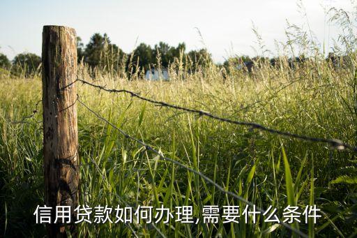 如何申请家庭信用卡借钱,申请信用卡就可以直接借钱吗