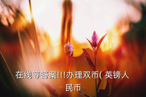 在线等答案!!!办理双币( 英镑人民币