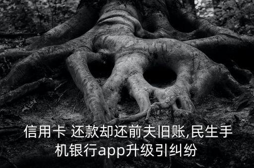  信用卡 还款却还前夫旧账,民生手机银行app升级引纠纷
