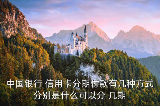 中国银行 信用卡分期付款有几种方式分别是什么可以分 几期