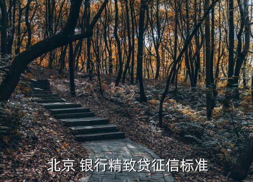  北京 银行精致贷征信标准