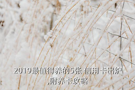 2019最值得养的5张 信用卡出炉,附养卡攻略