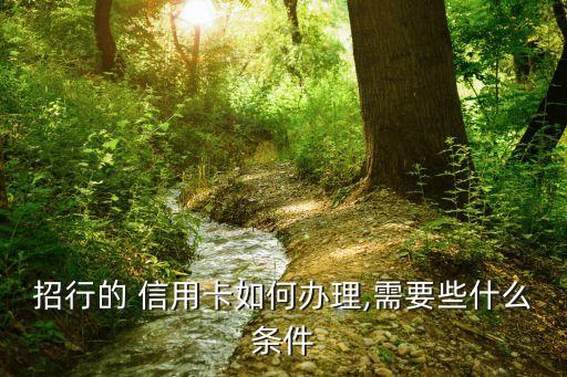 招行的 信用卡如何办理,需要些什么条件