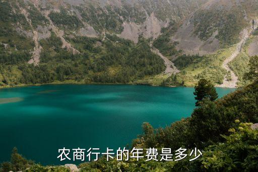 农商银行信用卡销卡的费用