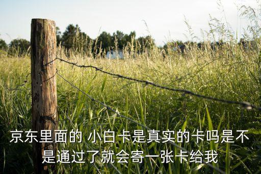 京东里面的 小白卡是真实的卡吗是不是通过了就会寄一张卡给我