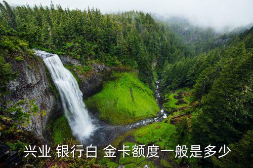 兴业银行信用卡标准白金卡