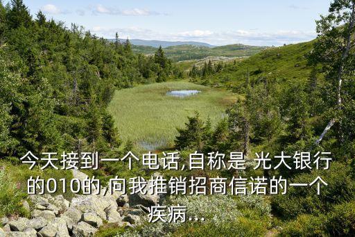 今天接到一个电话,自称是 光大银行的010的,向我推销招商信诺的一个疾病...