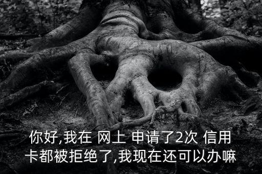 你好,我在 网上 申请了2次 信用卡都被拒绝了,我现在还可以办嘛