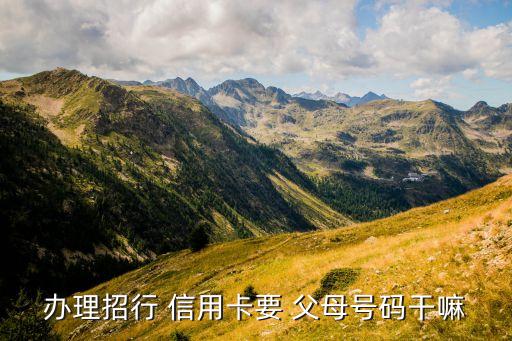 办理招行 信用卡要 父母号码干嘛
