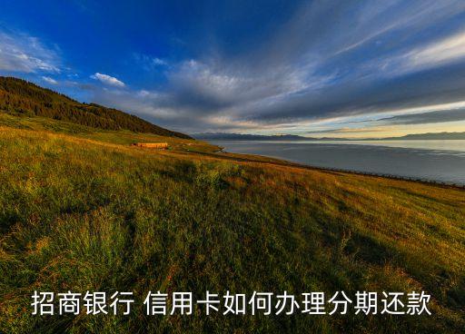 商业信用卡怎么申请分期,信用卡申请分期后能否一次性还清