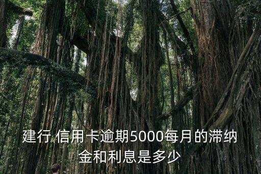 建设信用卡未还款如何计息