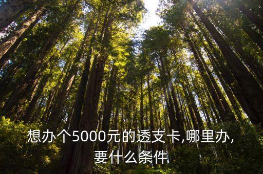 民生信用卡如朕亲临额度