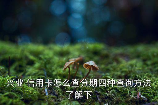 信用卡分期app不显示分期吗