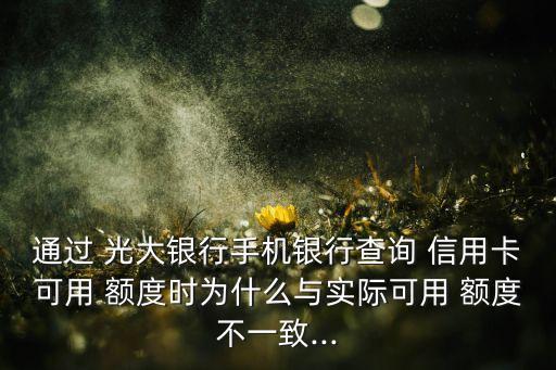为什么我的光大信用卡额度,光大无界信用卡额度多少