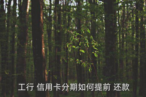 工行信用卡还款麻烦么