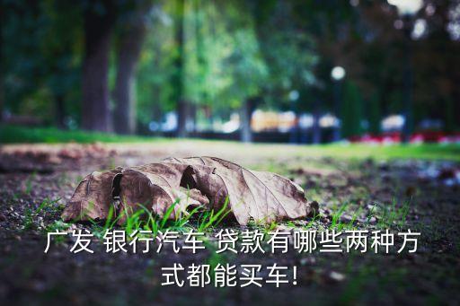 广发银银行信用卡购车贷款