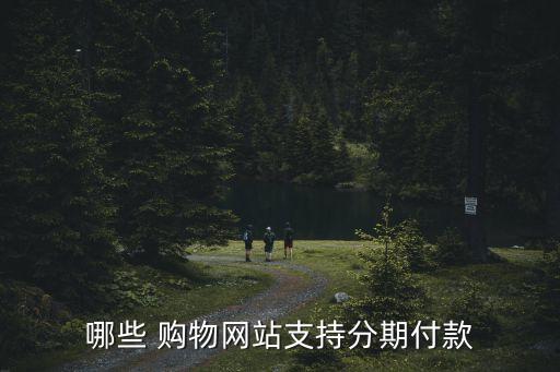 哪些 购物网站支持分期付款