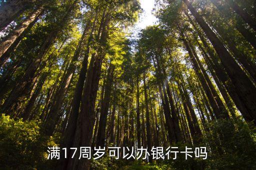17岁怎么申请信用卡呢,无单位怎么申请信用卡