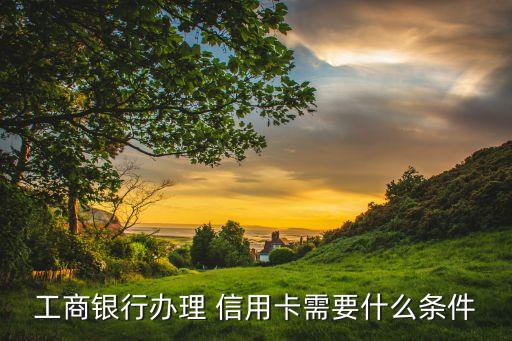 工商银行办理 信用卡需要什么条件