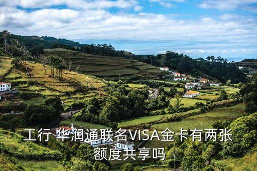 工行 华润通联名VISA金卡有两张 额度共享吗