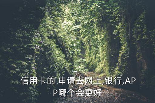 信用卡的 申请去网上,银行,APP哪个会更好