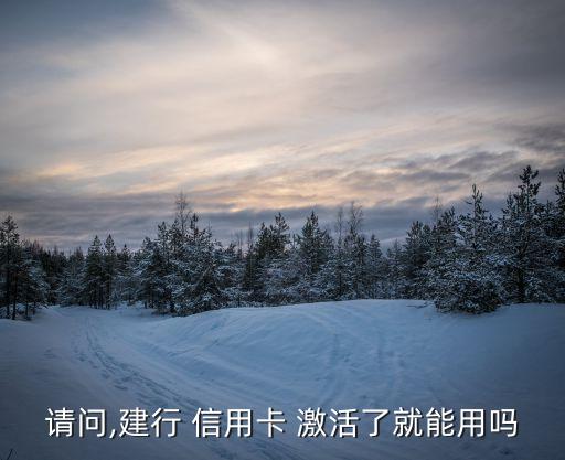 请问,建行 信用卡 激活了就能用吗