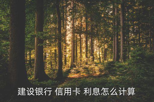 建设银行 信用卡 利息怎么计算