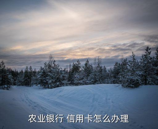 农业银行 信用卡怎么办理
