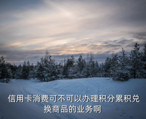  信用卡消费可不可以办理积分累积兑换商品的业务啊