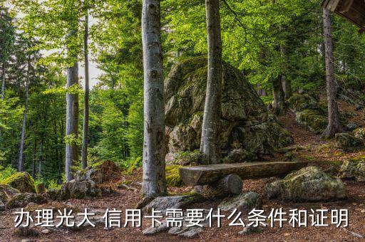办理光大 信用卡需要什么条件和证明