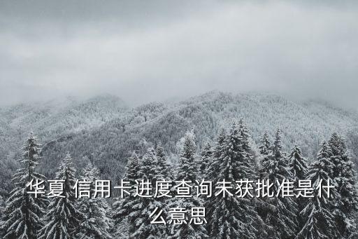  华夏 信用卡进度查询未获批准是什么意思