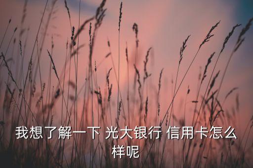 我想了解一下 光大银行 信用卡怎么样呢