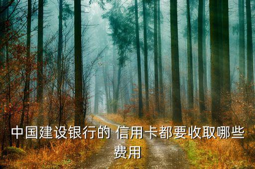 网站建设信用卡分期手续费