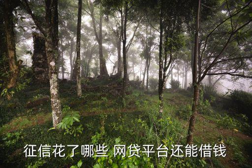 征信花了哪些 网贷平台还能借钱