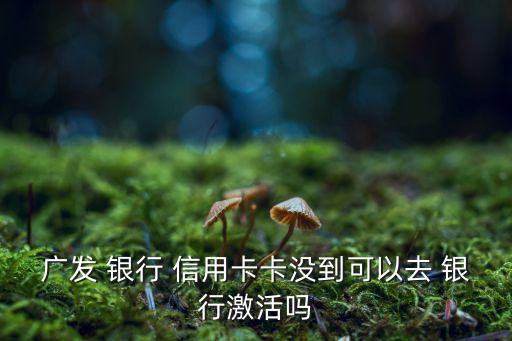广发 银行 信用卡卡没到可以去 银行激活吗