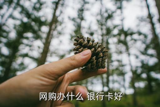 网购使用哪个银行信用卡,刚满18可以办哪个银行信用卡