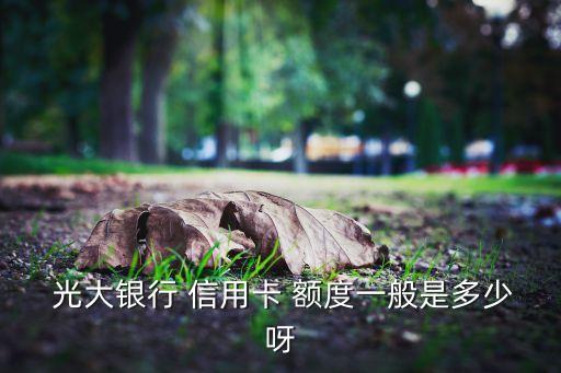  光大银行 信用卡 额度一般是多少呀