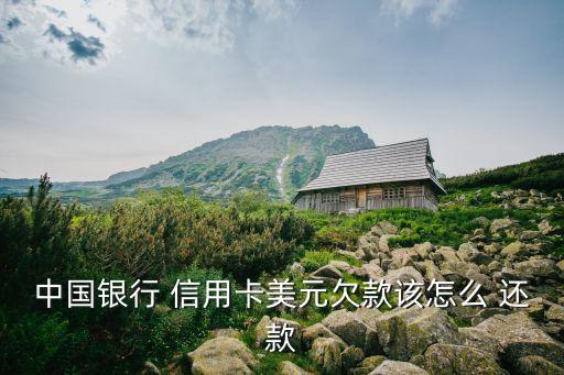 中国银行 信用卡美元欠款该怎么 还款