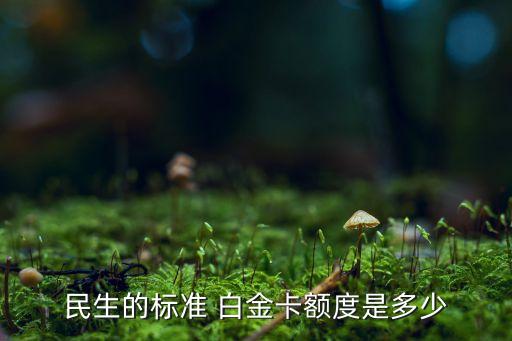 民生的标准 白金卡额度是多少