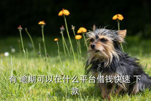 有 逾期可以在什么平台借钱快速 下款