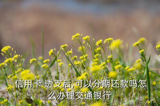  信用卡 透支后,可以分期还款吗怎么办理交通银行