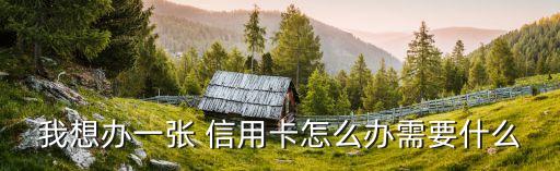 现在银行信用卡怎么好办,邮政储蓄银行信用卡好办吗