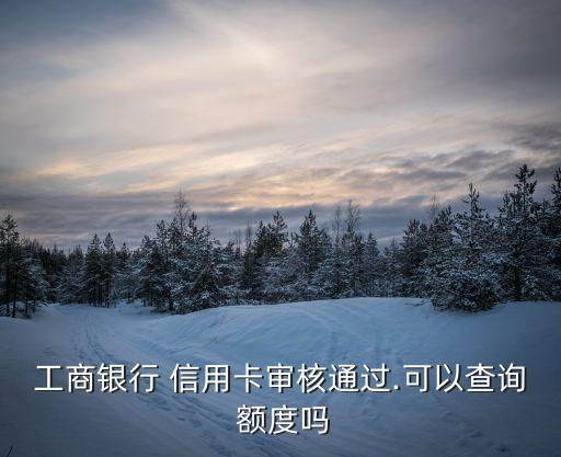 工商银行 信用卡审核通过.可以查询 额度吗