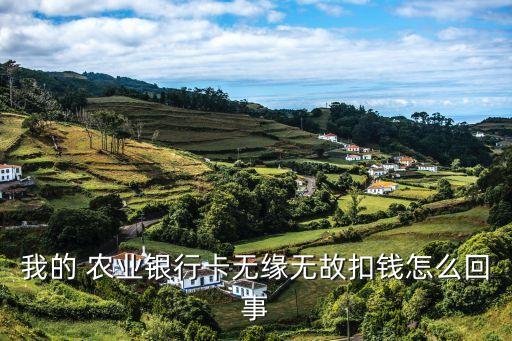 我的 农业银行卡无缘无故扣钱怎么回事