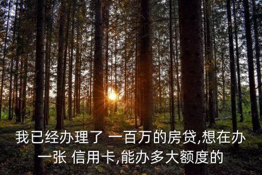 一百万可以申请信用卡吗,学生可以申请的信用卡有哪些