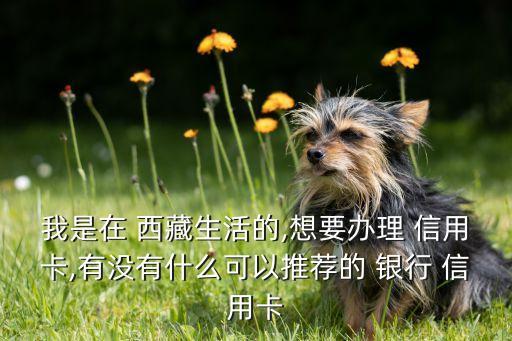 我是在 西藏生活的,想要办理 信用卡,有没有什么可以推荐的 银行 信用卡