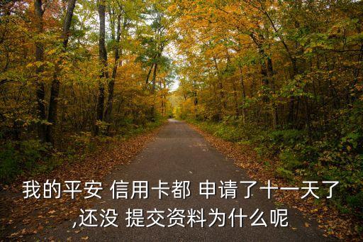我的平安 信用卡都 申请了十一天了,还没 提交资料为什么呢