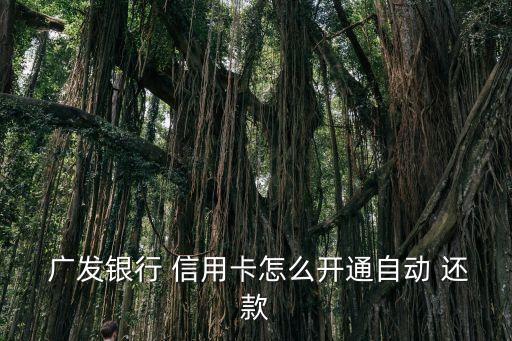  广发银行 信用卡怎么开通自动 还款